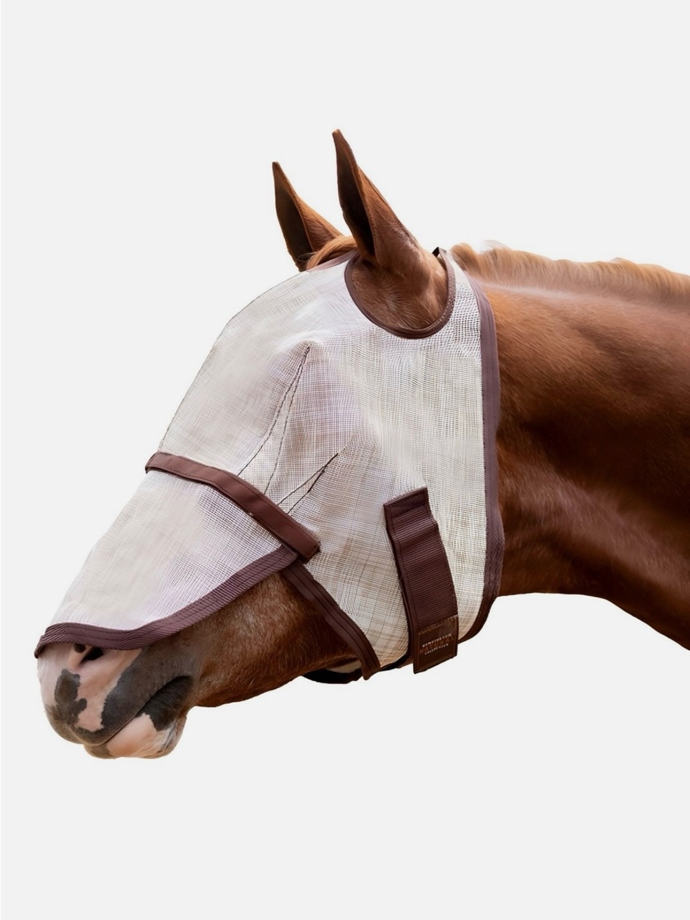 Breathable White Horse Fly Mask with Brown Trim - Protective Mesh